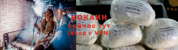 индика Абаза