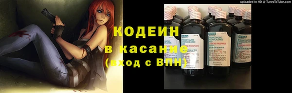 индика Абаза