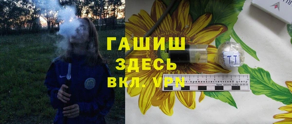 индика Абаза